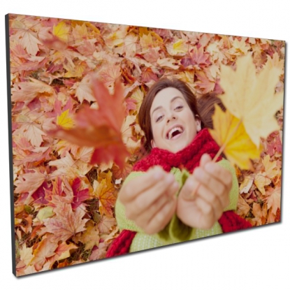 Tableau sur MOUSSE UNE PHOTO horizontal
