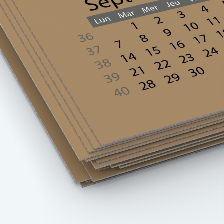 Calendrier photo une page XL - Papier épais rigide 400 g/m2