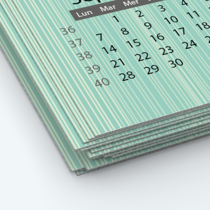 Calendrier photo une page - Papier épais rigide 400 g/m2