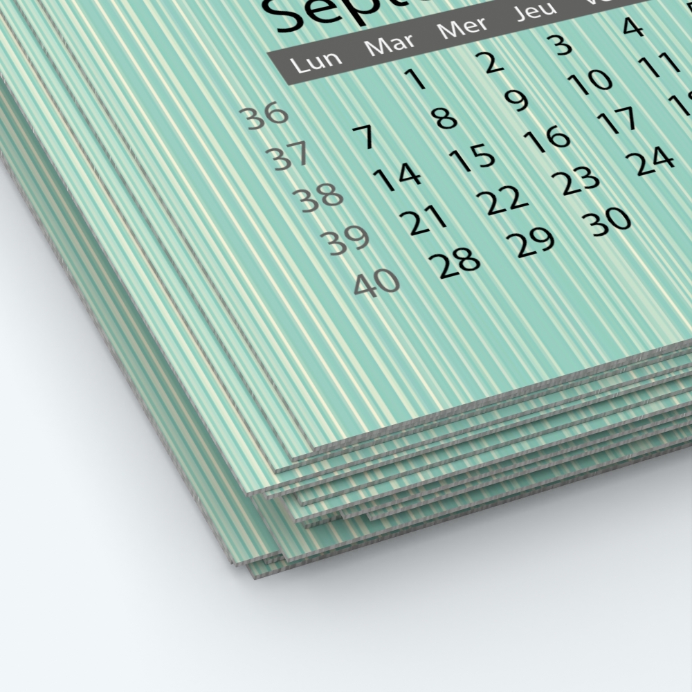 Calendrier photo une page XL - Papier épais rigide 400 g/m2