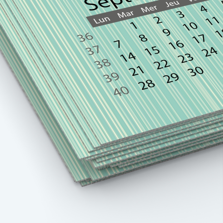 Calendrier photo une page XL - Papier épais rigide 400 g/m2