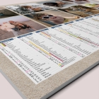 Calendrier photo bancaire