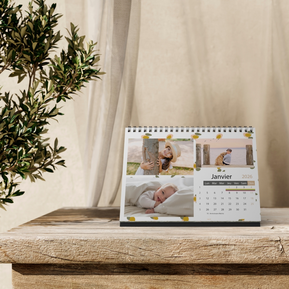 Calendrier LUXE PANO de bureau