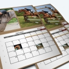 Calendrier agrafé Photo Date