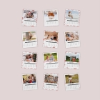 Calendriers magnétiques 12 planches
