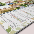 Calendrier photo bancaire
