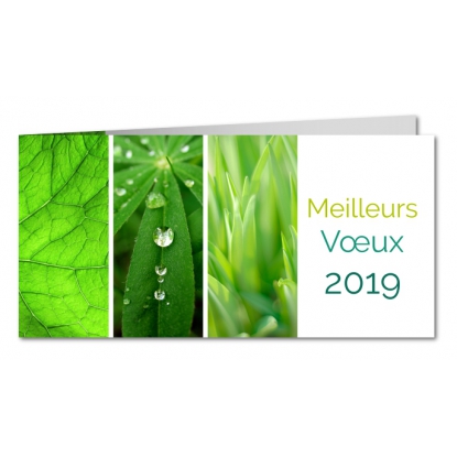 Carte de voeux
