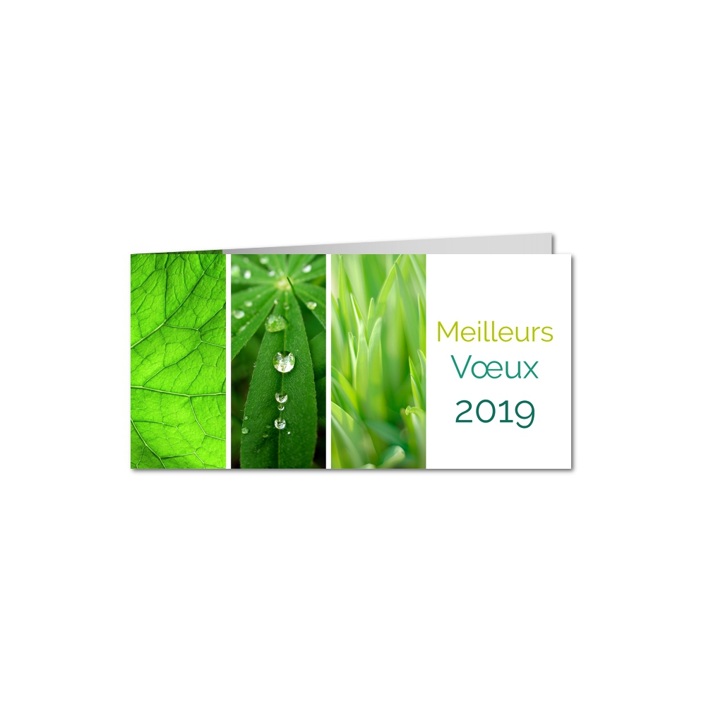 Carte de voeux Carte de voeux