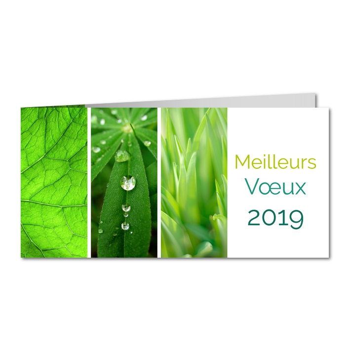 Carte de voeux Carte de voeux