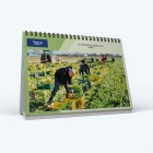 Calendrier de bureau MAXI PANO - Nombre de photos, logos et texte illimité