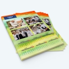 Calendrier photo deux pages - Minimum de commande : 25 exemplaires