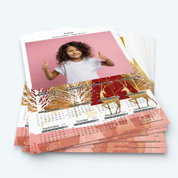 Pack multi calendriers - Minimum de commande 20 exemplaires